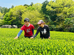 【正社員募集】お茶とお米づくりに携わる仲間を募集します