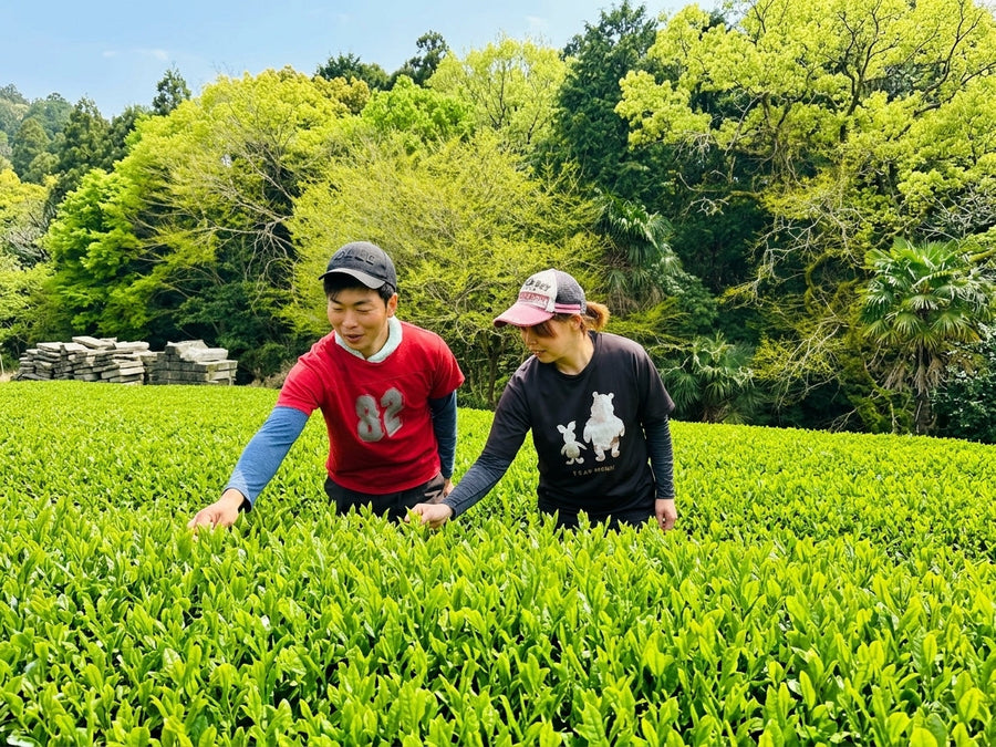 【正社員募集】お茶とお米づくりに携わる仲間を募集します